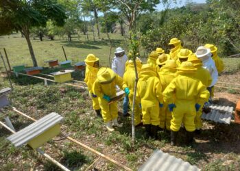SEMAGRIC: Expansão da produção de mel em Porto Velho favorece desenvolvimento econômico dos pequenos produtores
