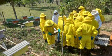 SEMAGRIC: Expansão da produção de mel em Porto Velho favorece desenvolvimento econômico dos pequenos produtores