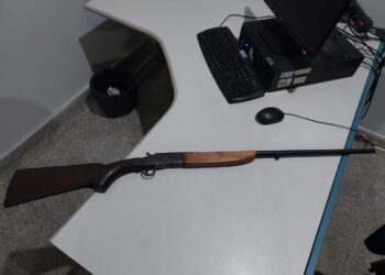 Homem é preso por violência doméstica e posse irregular de arma de fogo