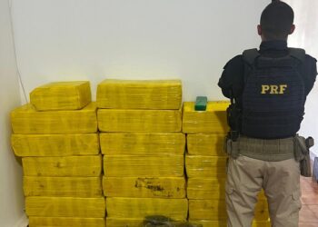 PRF apreende 665 Kg de maconha e recupera veículo em Caarapó (MS)