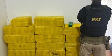 PRF apreende 665 Kg de maconha e recupera veículo em Caarapó (MS)