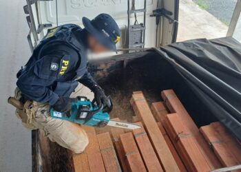 Em Ji-Paraná/RO, PRF identifica transporte irregular de madeira