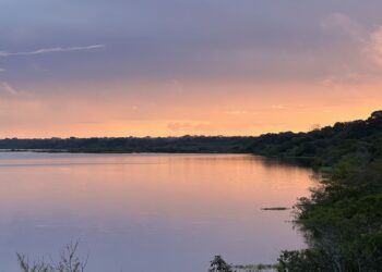 Assembleia Legislativa aprova turismo de base comunitária em Rondônia