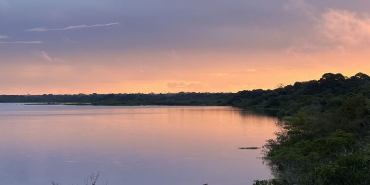 Assembleia Legislativa aprova turismo de base comunitária em Rondônia