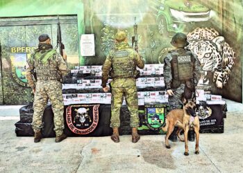 POLÍCIA MILITAR APREENDE 35 MIL MAÇOS DE CIGARROS CONTRABANDEADOS EM OPERAÇÃO NA FRONTEIRA