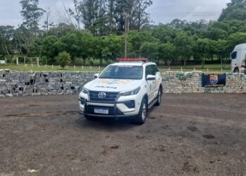 PMGO atua na 2ª maior apreensão de cocaína do Brasil em 2024