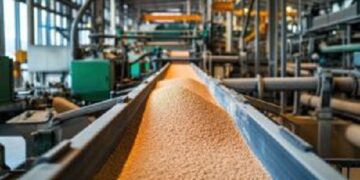 Tecnologias para classificação dos grãos ajudam a garantir padrões de qualidade na comercialização