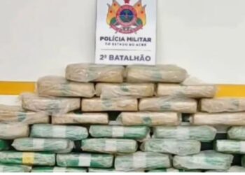 PMdescobre ponto de drogas e apreende 37 quilos de skunk em Rio Branco