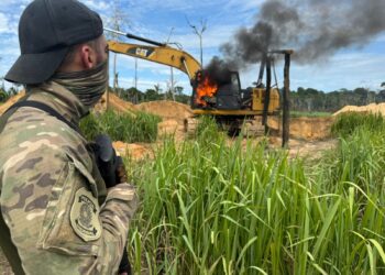 PF deflagra a Operação Andyrá em combate a crimes ambientais em Rondônia