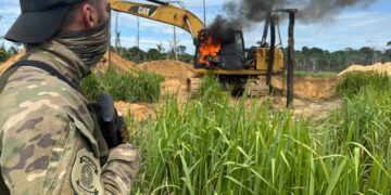 PF deflagra a Operação Andyrá em combate a crimes ambientais em Rondônia