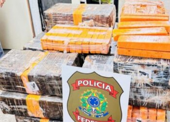 PF apreende mais de 420 kg de maconha no Paraná