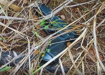 POLÍCIA CIVIL E FORÇAS DE SEGURANÇA LOCALIZAM E PRENDEM AUTOR DE HOMICÍDIO EM MENOS DE SEIS HORAS