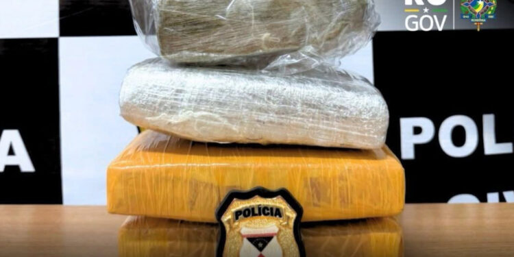 POLÍCIA CIVIL APREENDE DROGAS E CAPTURA FORAGIDO EM NOVA MAMORÉ
