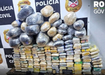 POLÍCIA CIVIL REALIZA GRANDE APREENSÃO DE DROGAS EM GUAJARÁ-MIRIM