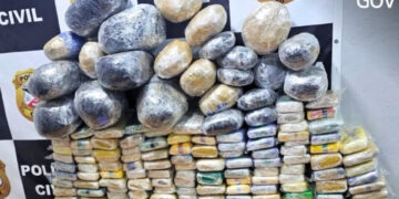 POLÍCIA CIVIL REALIZA GRANDE APREENSÃO DE DROGAS EM GUAJARÁ-MIRIM