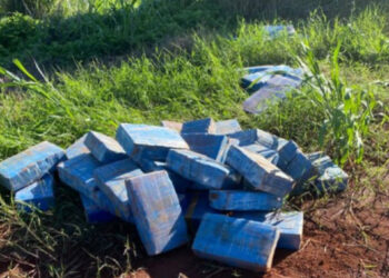 PF e PM/PR apreendem mais de 600kg de maconha no Paraná