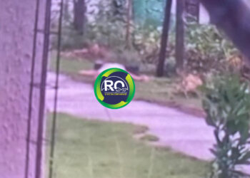 Mulher é executada em condomínio em Porto Velho