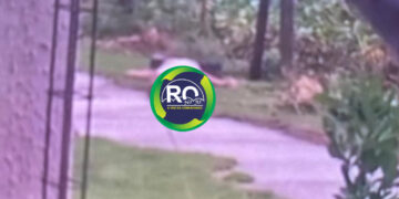 Mulher é executada em condomínio em Porto Velho