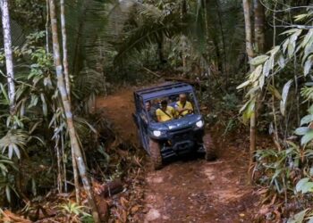 Prefeitura de Porto Velho inaugura no dia 22 de dezembro o Safari Ecológico, nova atração do Parque Natural