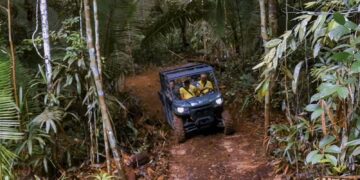 Prefeitura de Porto Velho inaugura no dia 22 de dezembro o Safari Ecológico, nova atração do Parque Natural