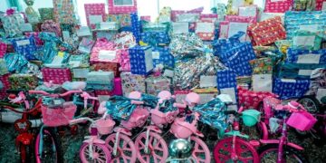 Servidores do governo de RO superam meta na campanha “Papai Noel dos Correios” 2024