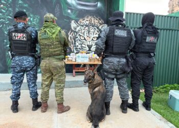 OPERAÇÃO PROTETOR DAS FRONTEIRAS APREENDE 50 KG DE PASTA BASE DE COCAÍNA EM TÁXI NA BR-425
