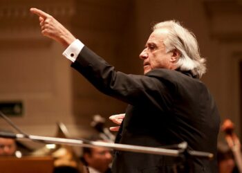 Projeto de educação musical de João Carlos Martins é tema de reunião da CE