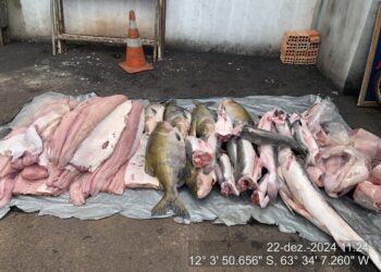 Polícia Militar Ambiental Prende Dois Suspeitos por Transporte Ilegal de Pescado em São Francisco do Guaporé