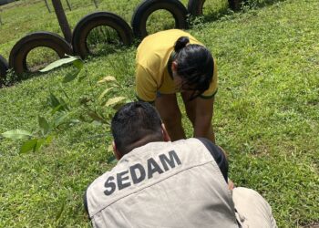 Governo de RO promove ação de fortalecimento ambiental em Território Indígena de Vilhena