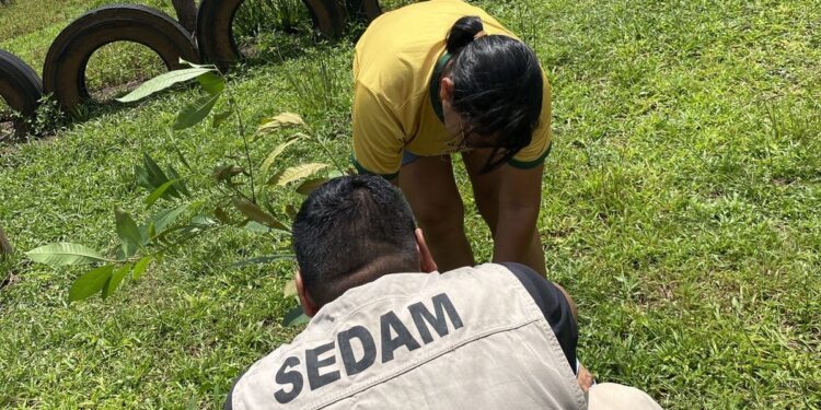 Governo de RO promove ação de fortalecimento ambiental em Território Indígena de Vilhena