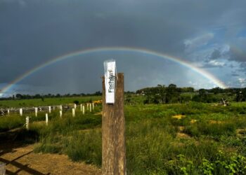 Crise Hídrica: Ações para garantir produção agrícola em Rondônia são viabilizadas pelo governo de RO