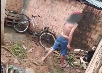 Polícia Militar prende homem por maus-tratos a animal em Ariquemes