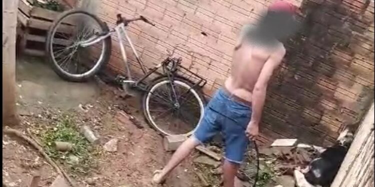 Polícia Militar prende homem por maus-tratos a animal em Ariquemes