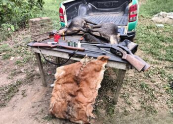 Patrulha Ambiental realiza prisão de três pessoas por crimes ambientais e porte ilegal de arma de fogo em Jaci-Paraná