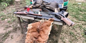 Patrulha Ambiental realiza prisão de três pessoas por crimes ambientais e porte ilegal de arma de fogo em Jaci-Paraná