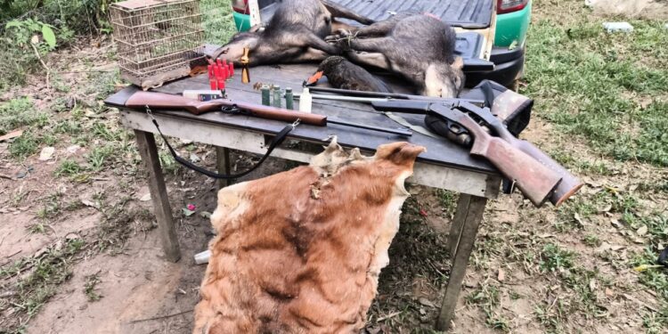Patrulha Ambiental realiza prisão de três pessoas por crimes ambientais e porte ilegal de arma de fogo em Jaci-Paraná
