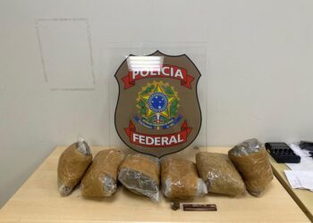 PF faz prisão por tráfico de drogas