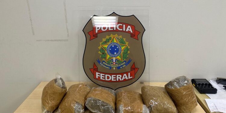 PF faz prisão por tráfico de drogas