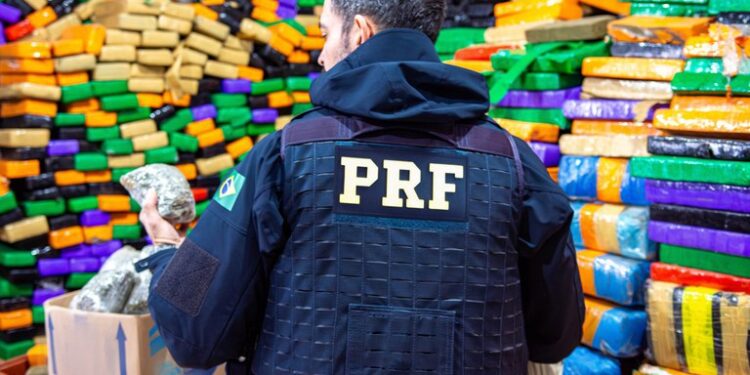 PRF registra recorde histórico de apreensão de drogas nas rodovias federais