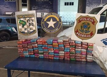 Operação conjunta apreende 95 kg de maconha na Ponte Internacional da Amizade