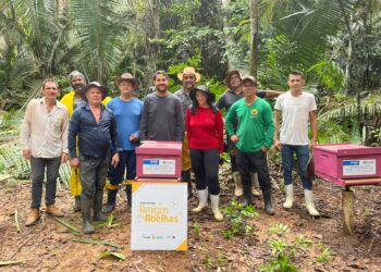 Semagric promove ação para fortalecimento da apicultura em Porto Velho