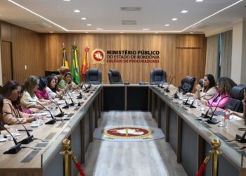 Em reunião da Rede Lilás, MPRO destaca estratégias para fortalecer enfrentamento à violência contra a mulher