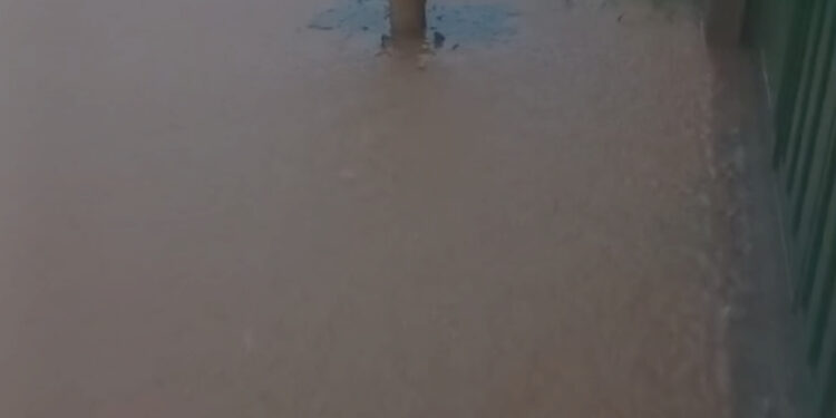BOM DIA: Várias ruas é casas alagadas em Porto Velho – VÍDEO