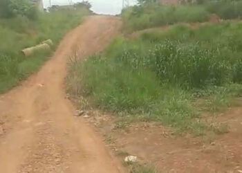 Rondonianoar a voz da comunidade: Morador do bairro Planalto solicita a presença do órgão público de PVH – VEJA O VÍDEO