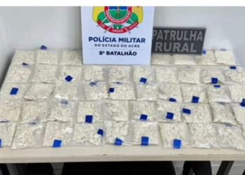 Polícia Militar apreende mais de 1,5 kg de drogas na BR-364