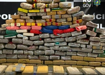 POLÍCIA CIVIL APREENDE QUASE 300 KG DE DROGAS E DESARTICULA PARTE DE ORGANIZAÇÃO CRIMINOSA