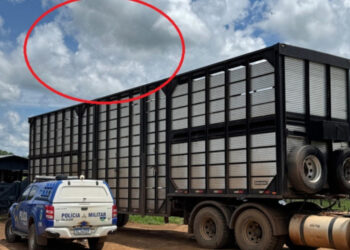 Motorista de caminhão boiadeiro morre vítima de descarga elétrica