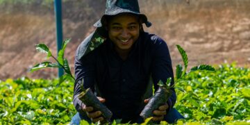 Governo de RO institui Programa Estadual Jovem Empreendedor Rural para fortalecer a juventude no campo