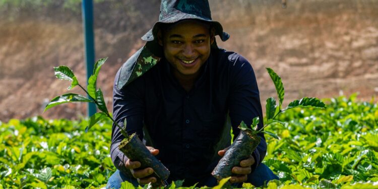 Governo de RO institui Programa Estadual Jovem Empreendedor Rural para fortalecer a juventude no campo