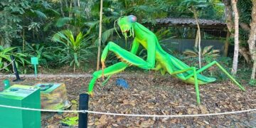 Natureza Gigante chega ao Porto Velho Shopping com insetos animatrônicos e diversão educativa